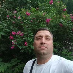 ����, 42 ����, �������